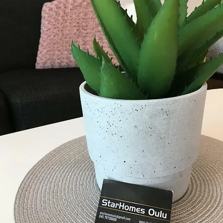 Star Homes Studio Lux 81 Όουλου